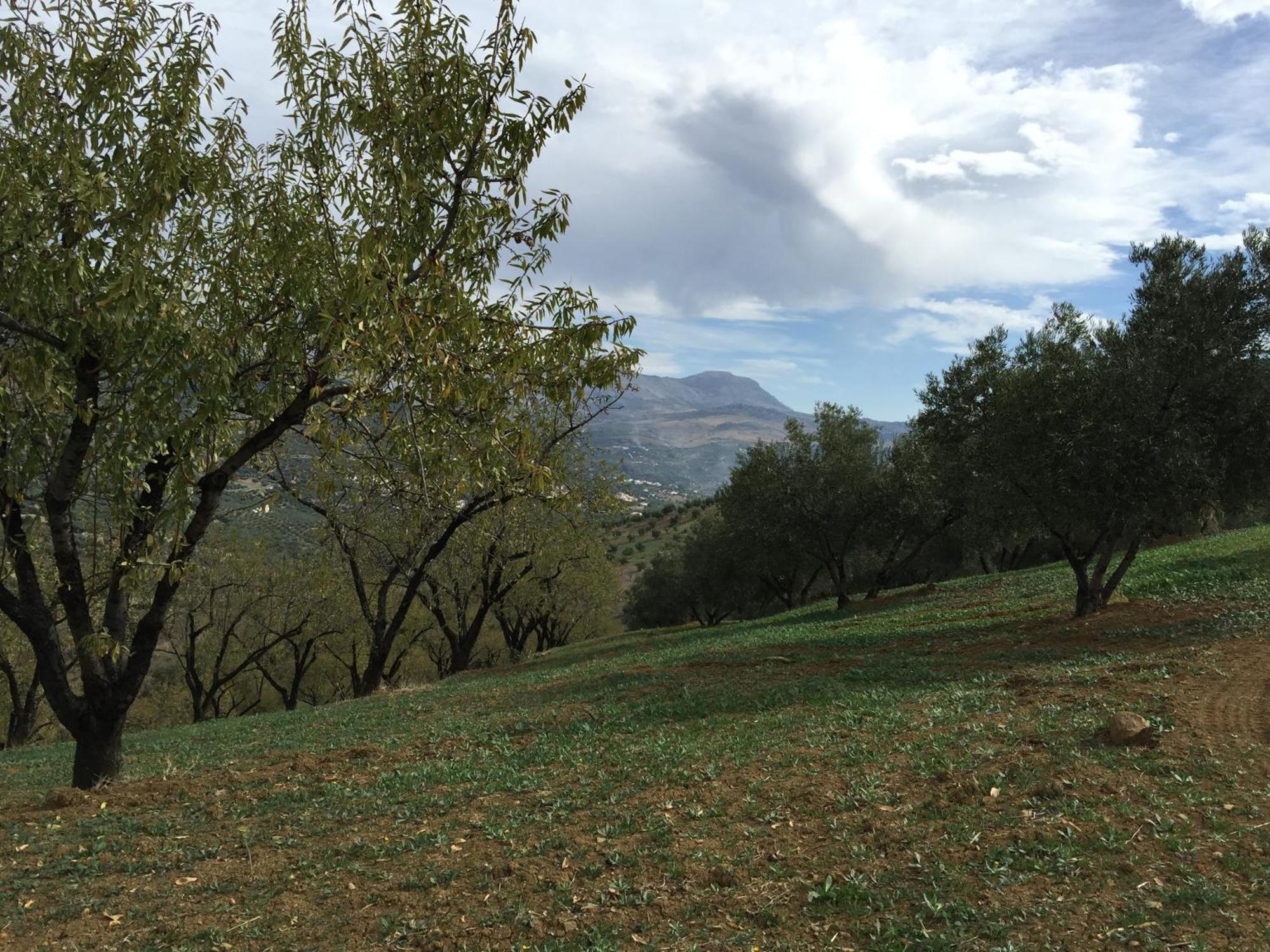 Villa La Fuente Mondron Luaran gambar